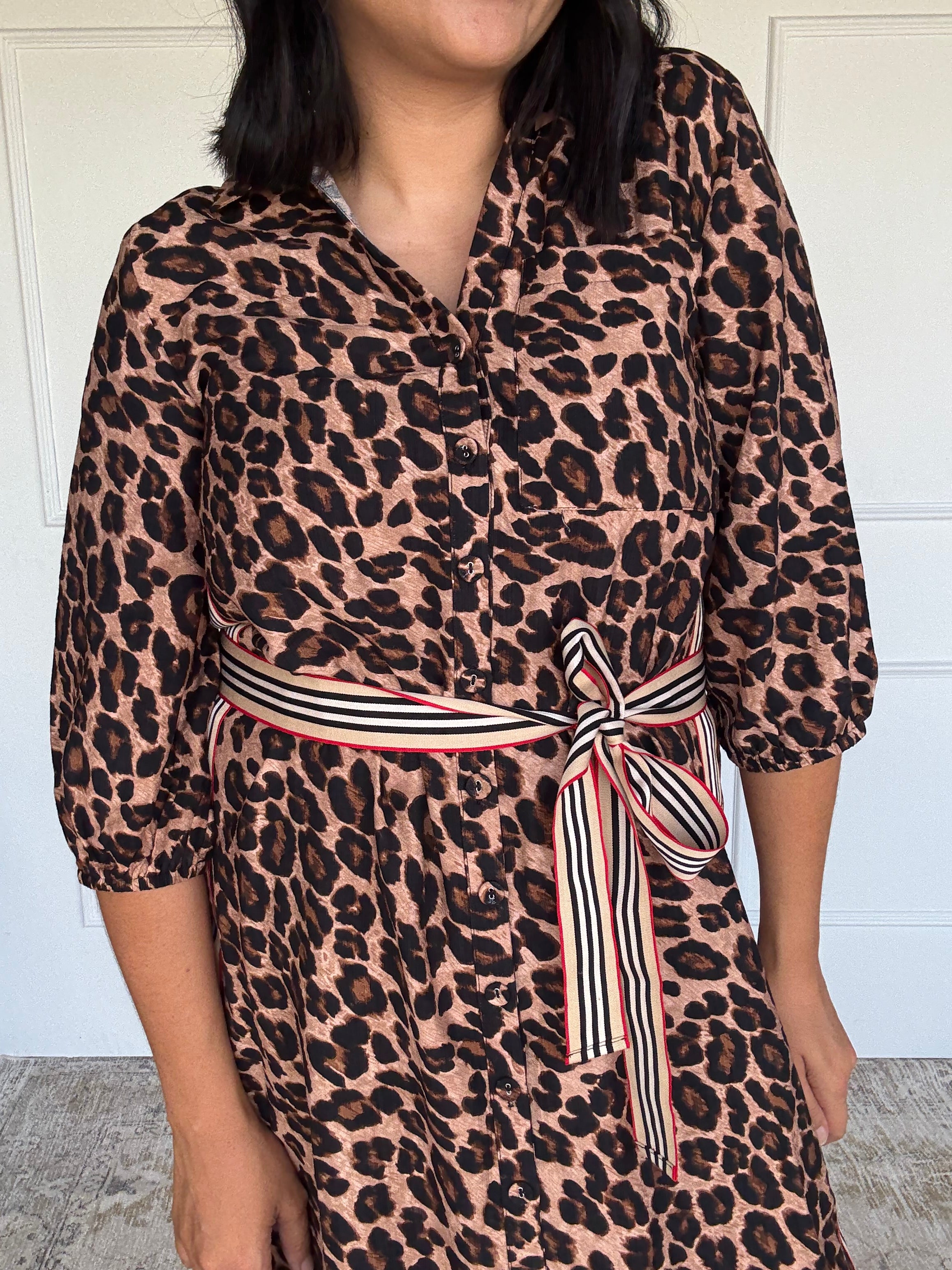 Leopard Shirt Dress