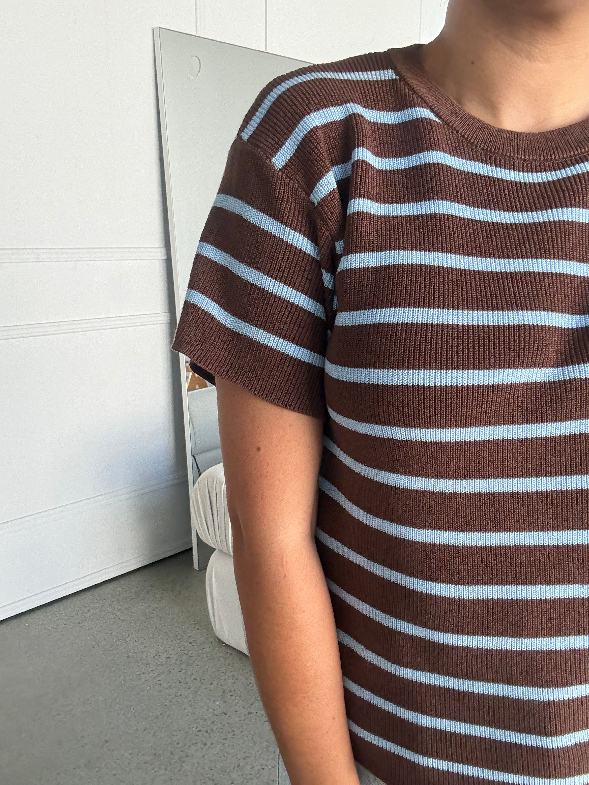 Miller Striped Knit Top Brown/Blue