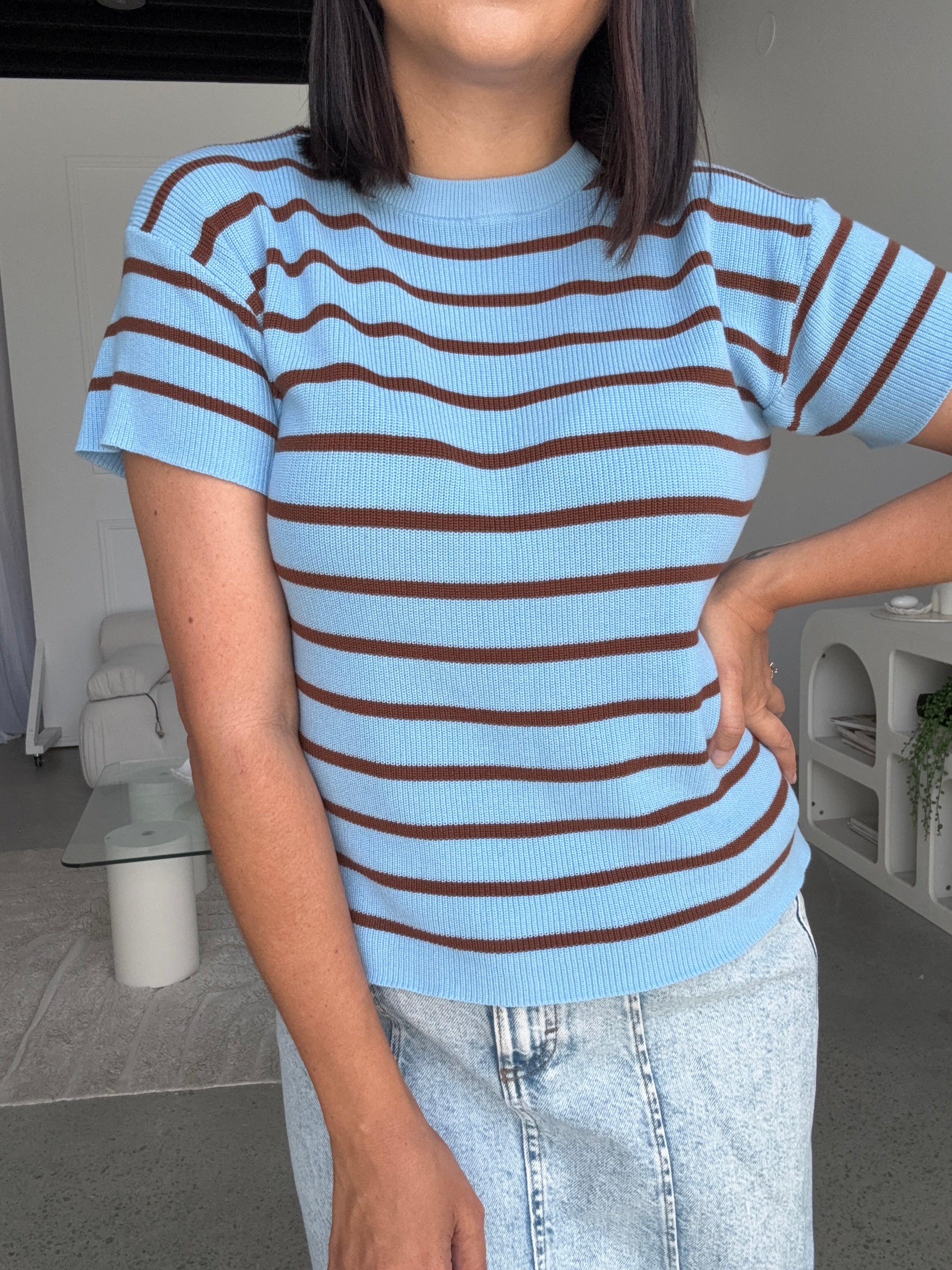 RESTOCKING DECEMBER Miller Striped Knit Top Blue/Brown