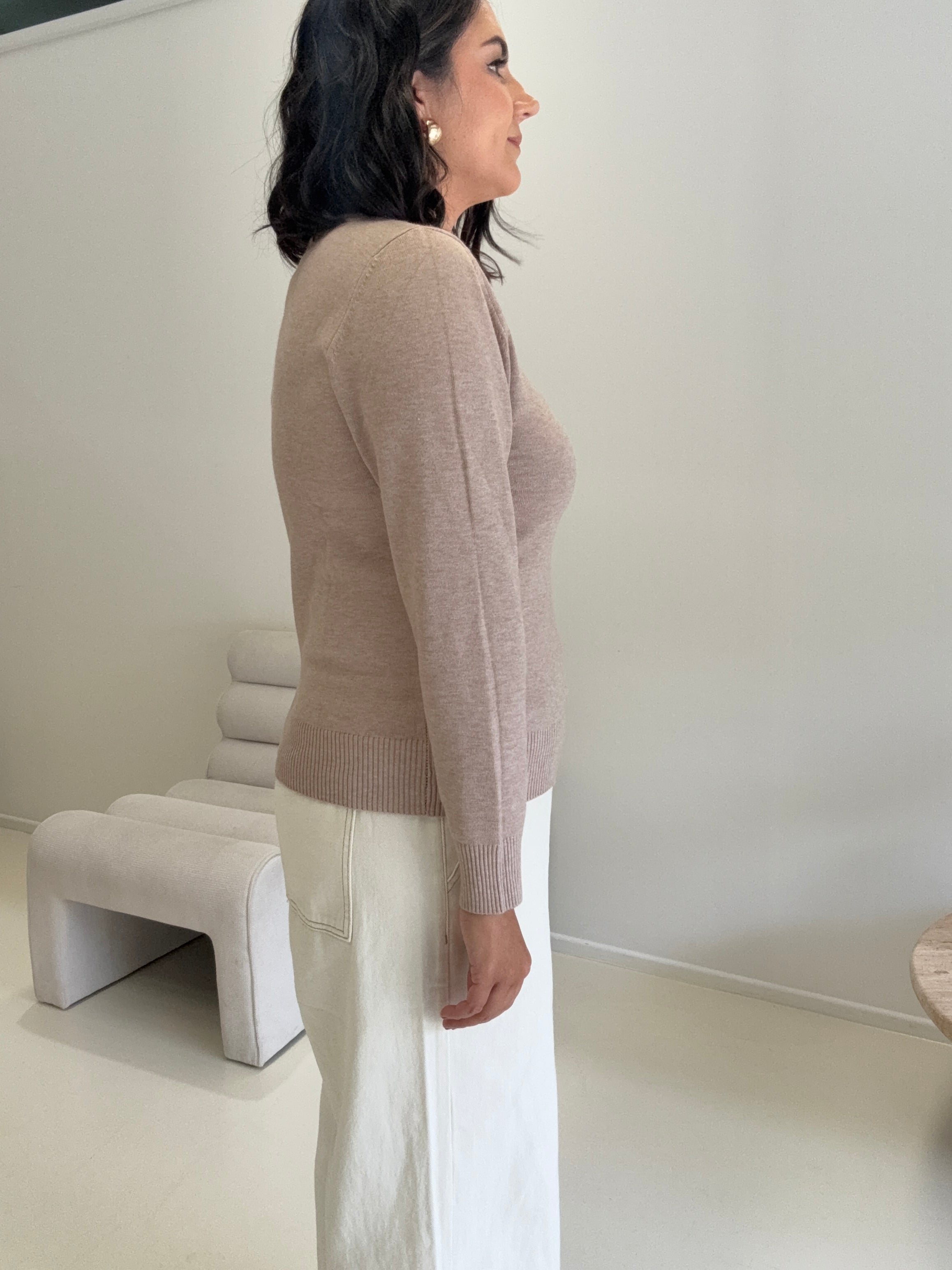 Petunia Turtle Neck Knit Pullover Beige