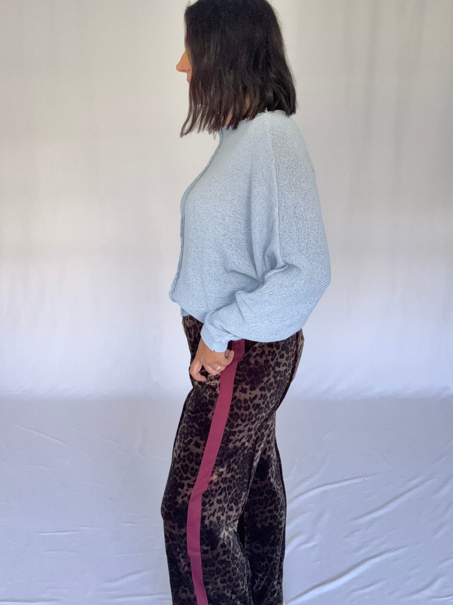 Velvet Leo Pant Burgundy Stripe
