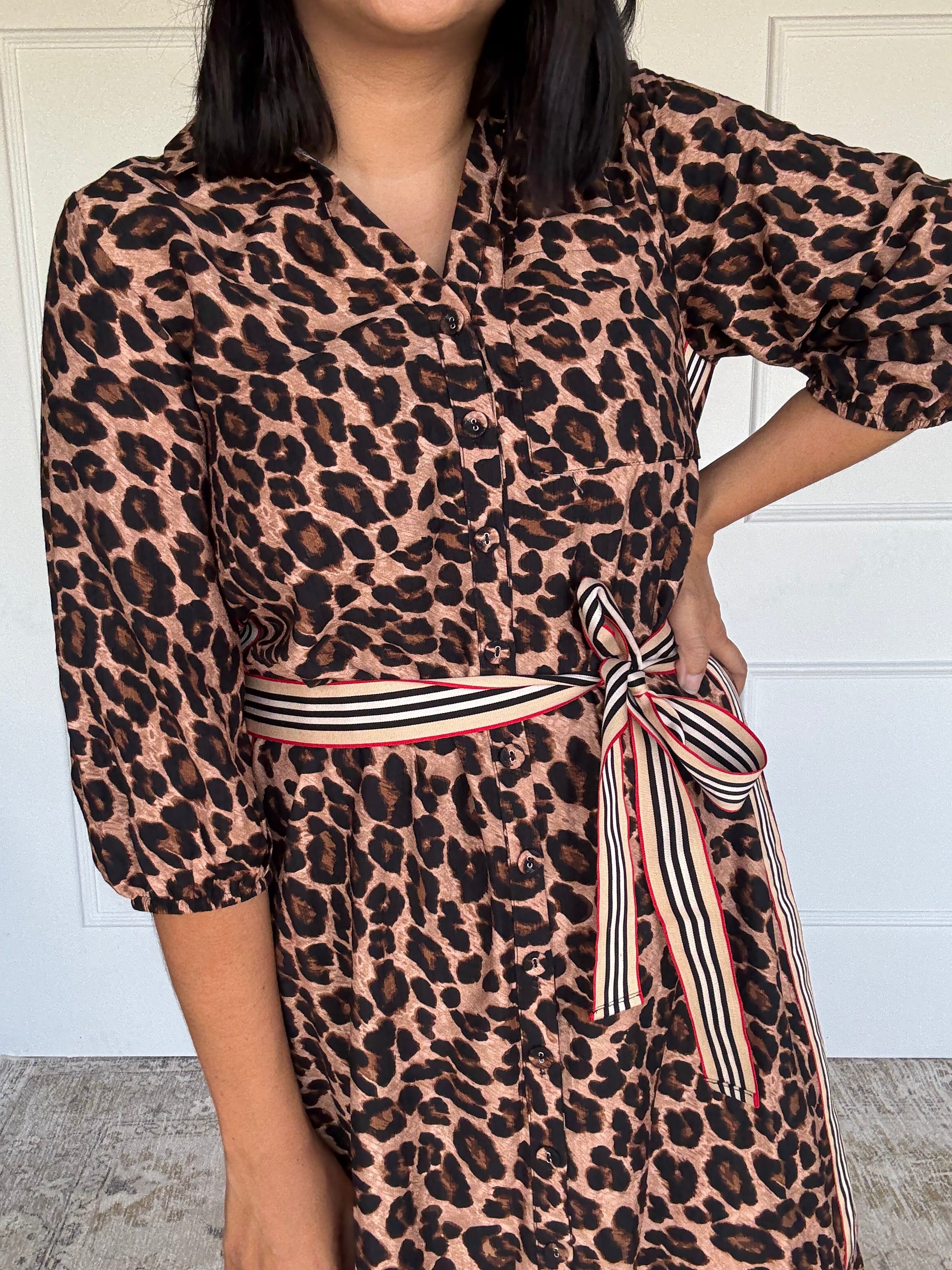 Leopard Shirt Dress