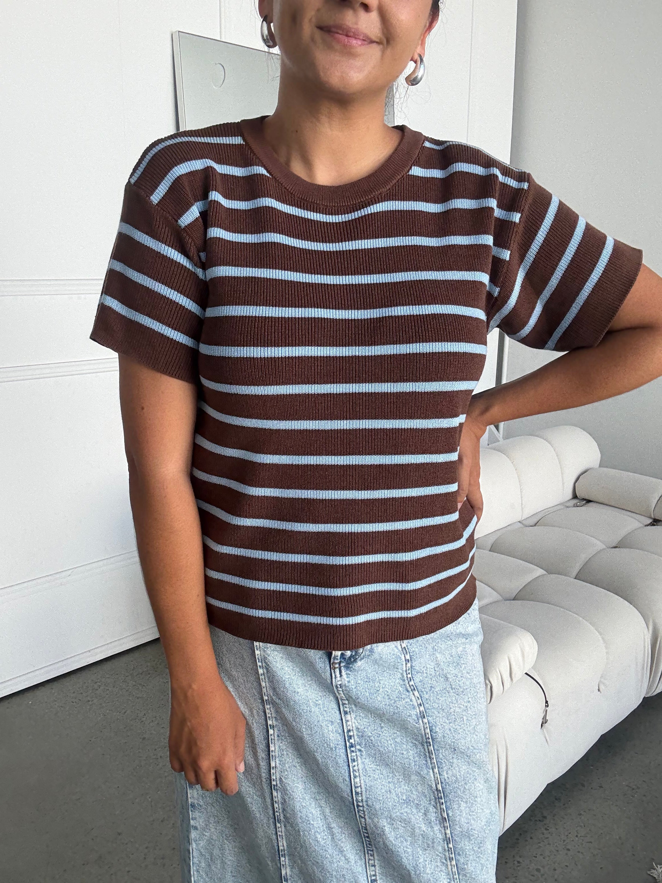 Miller Striped Knit Top Brown/Blue